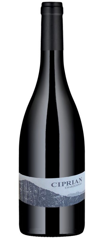 Zizers Chardonnay Graubünden AOC 
BIO