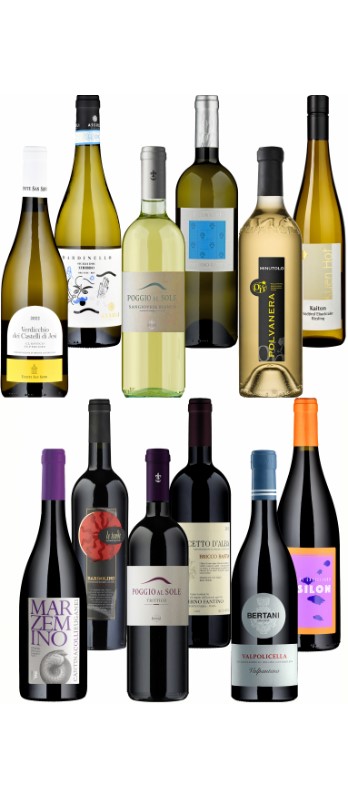 Degustationspaket Sommerweine 2025 Rot & Weiss
WEB