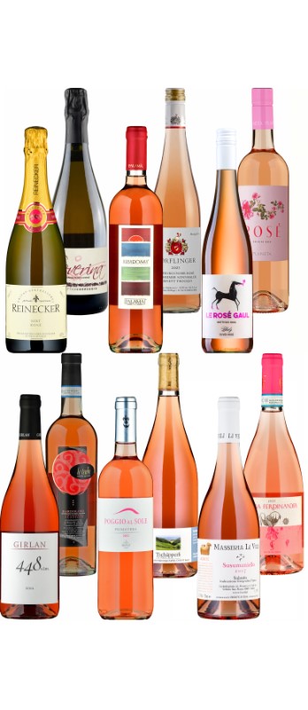 Degustationspaket Sommerweine 2025 Rosé
WEB