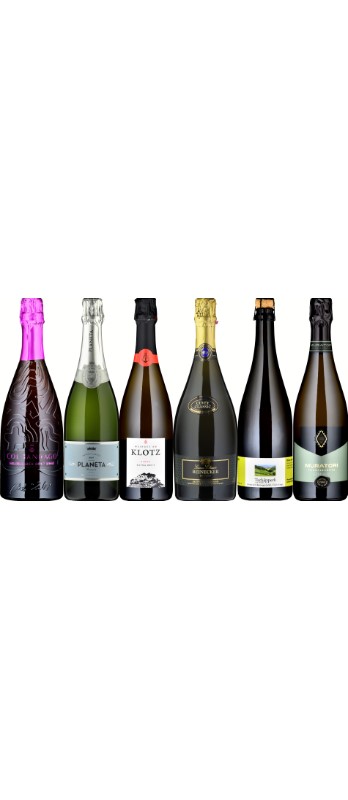 Degustationspaket Schaumweine 2026