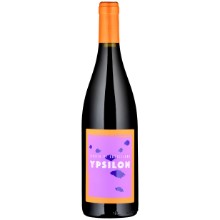 6 Flaschen Ypsilon Rosso Terre Siciliane IGT
BIO