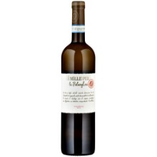 Falanghina del Sannio DOP 
I Mille per la Falanghina
