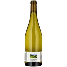 Cabernet Blanc / Sauvignac
AOC Basel-Landschaft PIWI BIO