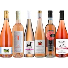 Degustationspaket Rosé 2026