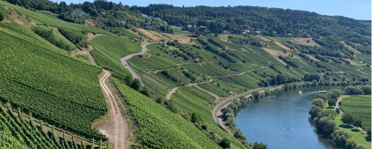 Weingut Werner