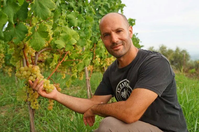 Cantine Benvenuto